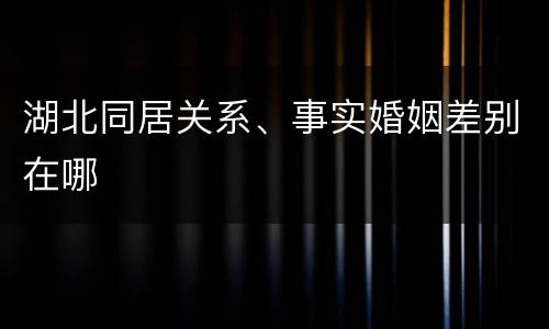湖北同居关系、事实婚姻差别在哪