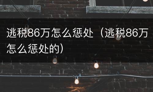 逃税86万怎么惩处（逃税86万怎么惩处的）