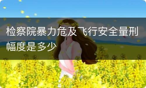 检察院暴力危及飞行安全量刑幅度是多少