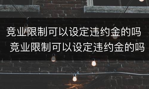 竞业限制可以设定违约金的吗 竞业限制可以设定违约金的吗为什么