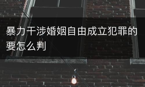 暴力干涉婚姻自由成立犯罪的要怎么判