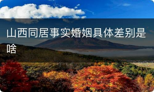 山西同居事实婚姻具体差别是啥