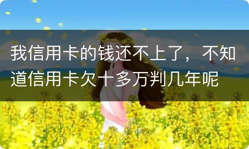 我信用卡的钱还不上了，不知道信用卡欠十多万判几年呢