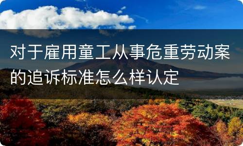 对于雇用童工从事危重劳动案的追诉标准怎么样认定