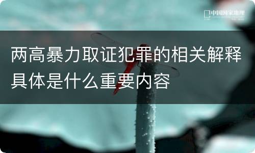 两高暴力取证犯罪的相关解释具体是什么重要内容