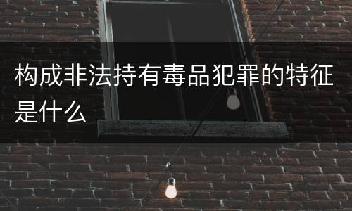 构成非法持有毒品犯罪的特征是什么