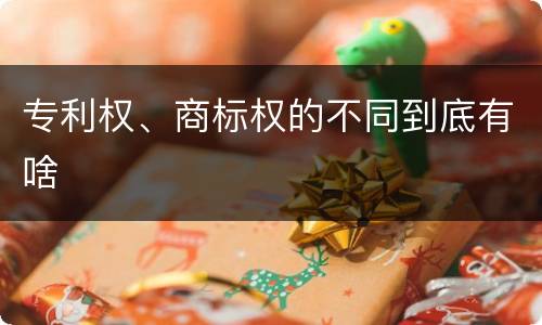 专利权、商标权的不同到底有啥