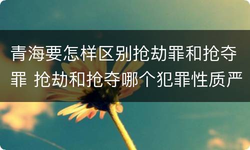 青海要怎样区别抢劫罪和抢夺罪 抢劫和抢夺哪个犯罪性质严重
