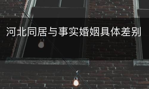 河北同居与事实婚姻具体差别