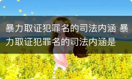暴力取证犯罪名的司法内涵 暴力取证犯罪名的司法内涵是