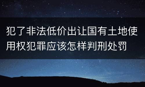 犯了非法低价出让国有土地使用权犯罪应该怎样判刑处罚