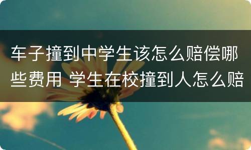 车子撞到中学生该怎么赔偿哪些费用 学生在校撞到人怎么赔钱