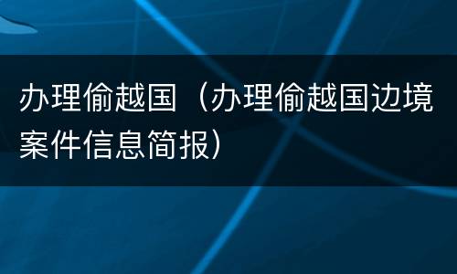 办理偷越国（办理偷越国边境案件信息简报）