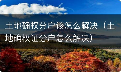 土地确权分户该怎么解决（土地确权证分户怎么解决）