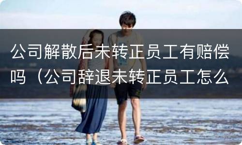 公司解散后未转正员工有赔偿吗（公司辞退未转正员工怎么赔偿）