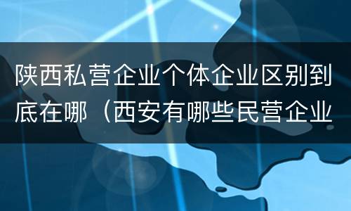陕西私营企业个体企业区别到底在哪（西安有哪些民营企业）