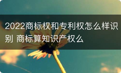 2022商标权和专利权怎么样识别 商标算知识产权么