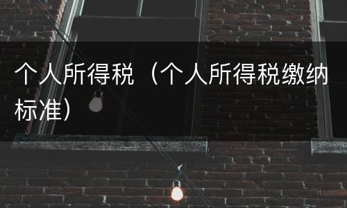 个人所得税（个人所得税缴纳标准）