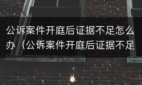 公诉案件开庭后证据不足怎么办（公诉案件开庭后证据不足怎么办理）