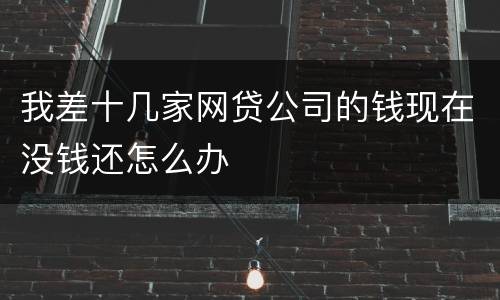 我差十几家网贷公司的钱现在没钱还怎么办