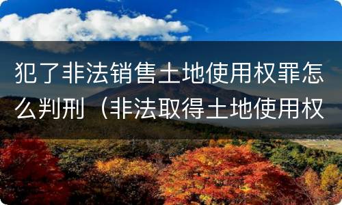 犯了非法销售土地使用权罪怎么判刑（非法取得土地使用权构成什么罪）