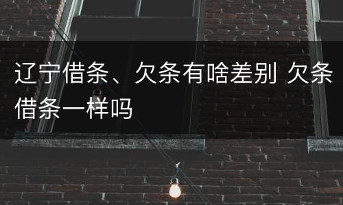 辽宁借条、欠条有啥差别 欠条借条一样吗
