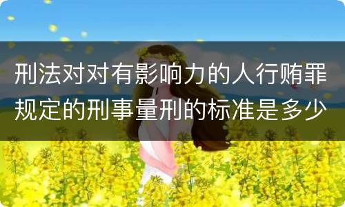刑法对对有影响力的人行贿罪规定的刑事量刑的标准是多少