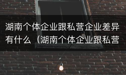 湖南个体企业跟私营企业差异有什么（湖南个体企业跟私营企业差异有什么区别）