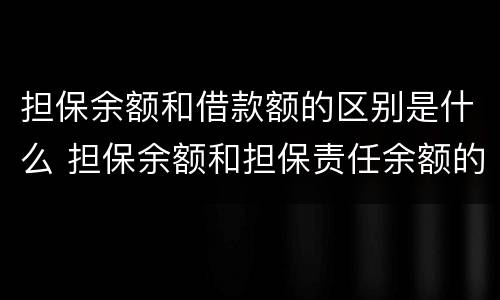 担保余额和借款额的区别是什么 担保余额和担保责任余额的区别