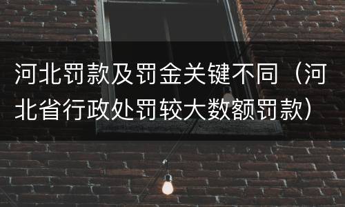 河北罚款及罚金关键不同（河北省行政处罚较大数额罚款）