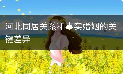 河北同居关系和事实婚姻的关键差异