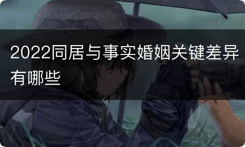 2022同居与事实婚姻关键差异有哪些