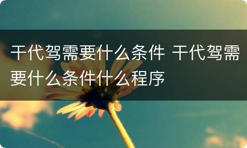 干代驾需要什么条件 干代驾需要什么条件什么程序