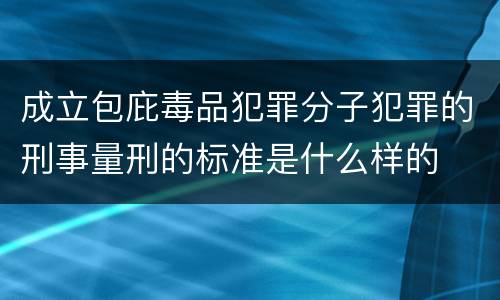 成立包庇毒品犯罪分子犯罪的刑事量刑的标准是什么样的
