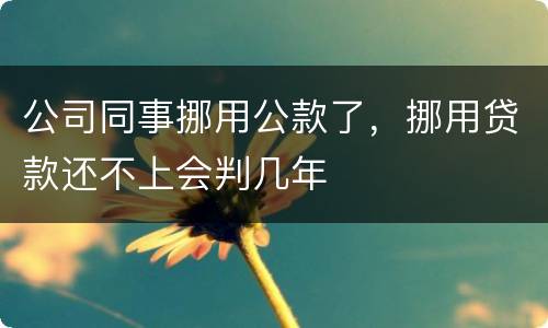 公司同事挪用公款了，挪用贷款还不上会判几年