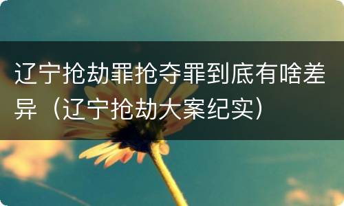 辽宁抢劫罪抢夺罪到底有啥差异（辽宁抢劫大案纪实）