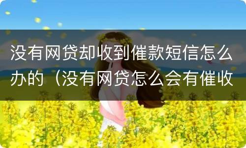 没有网贷却收到催款短信怎么办的（没有网贷怎么会有催收电话）