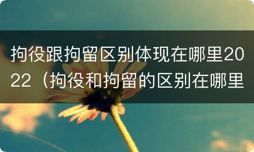 拘役跟拘留区别体现在哪里2022（拘役和拘留的区别在哪里）