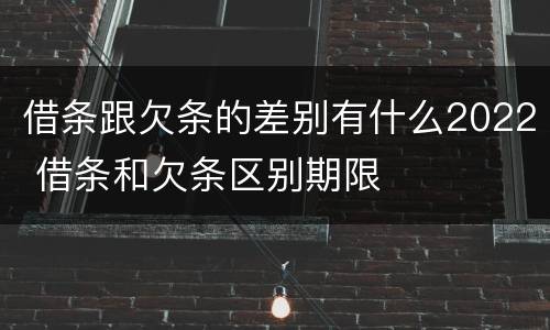 借条跟欠条的差别有什么2022 借条和欠条区别期限