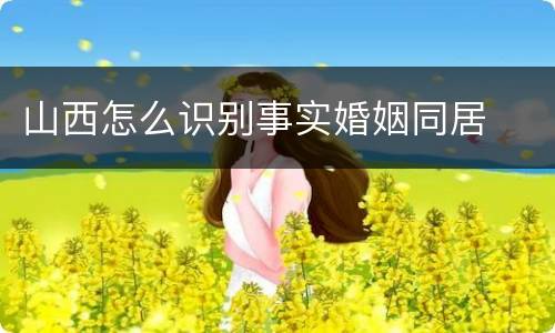 山西怎么识别事实婚姻同居