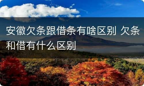 安徽欠条跟借条有啥区别 欠条和借有什么区别