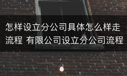 怎样设立分公司具体怎么样走流程 有限公司设立分公司流程