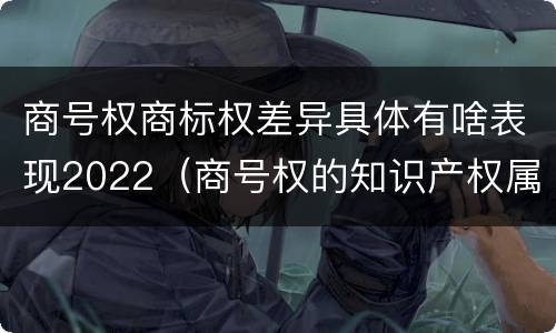 商号权商标权差异具体有啥表现2022（商号权的知识产权属性）