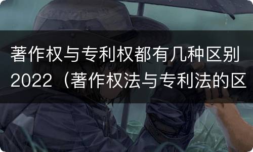 著作权与专利权都有几种区别2022（著作权法与专利法的区别）