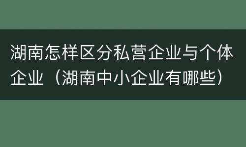 湖南怎样区分私营企业与个体企业（湖南中小企业有哪些）