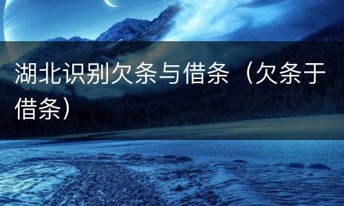 湖北识别欠条与借条（欠条于借条）