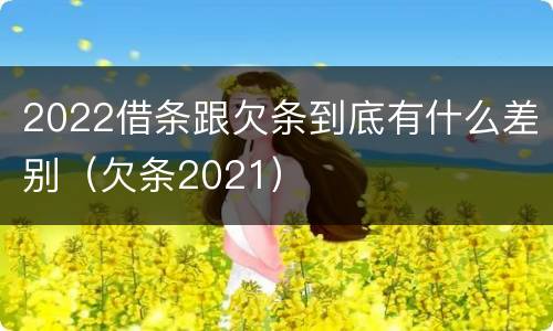 2022借条跟欠条到底有什么差别（欠条2021）