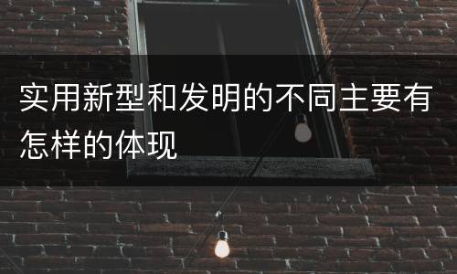 实用新型和发明的不同主要有怎样的体现