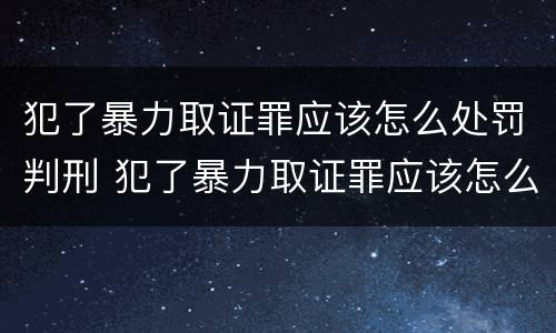 犯了暴力取证罪应该怎么处罚判刑 犯了暴力取证罪应该怎么处罚判刑的