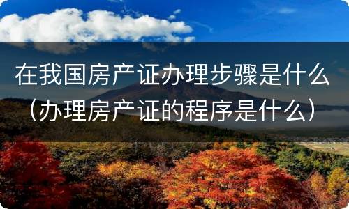 在我国房产证办理步骤是什么（办理房产证的程序是什么）